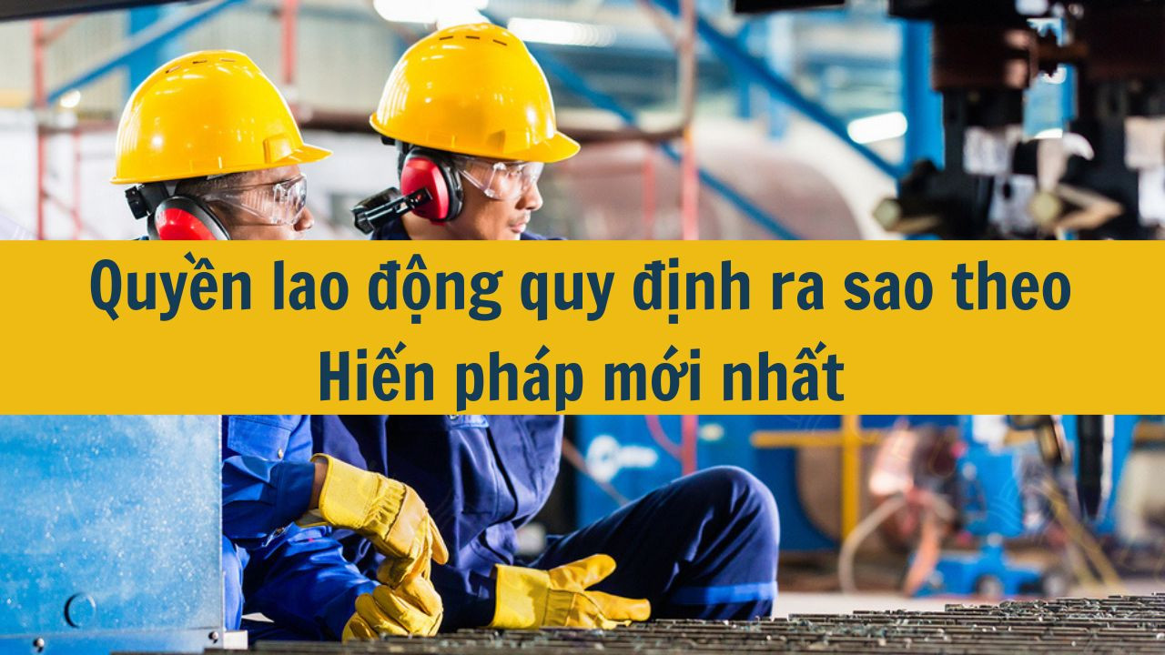 Quyền lao động quy định ra sao theo Hiến ph&aacute;p mới nhất 2025? (ảnh 1)