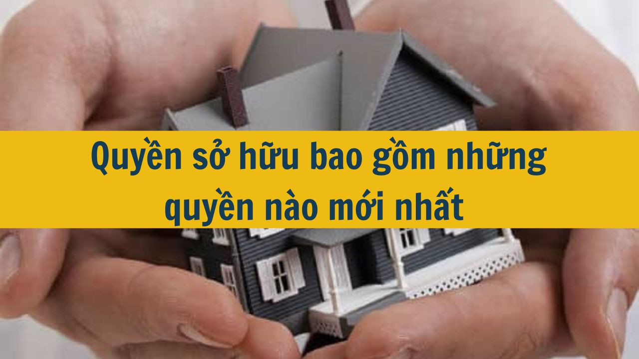 Quyền sở hữu bao gồm những quyền n&agrave;o mới nhất 2025? (ảnh 1)