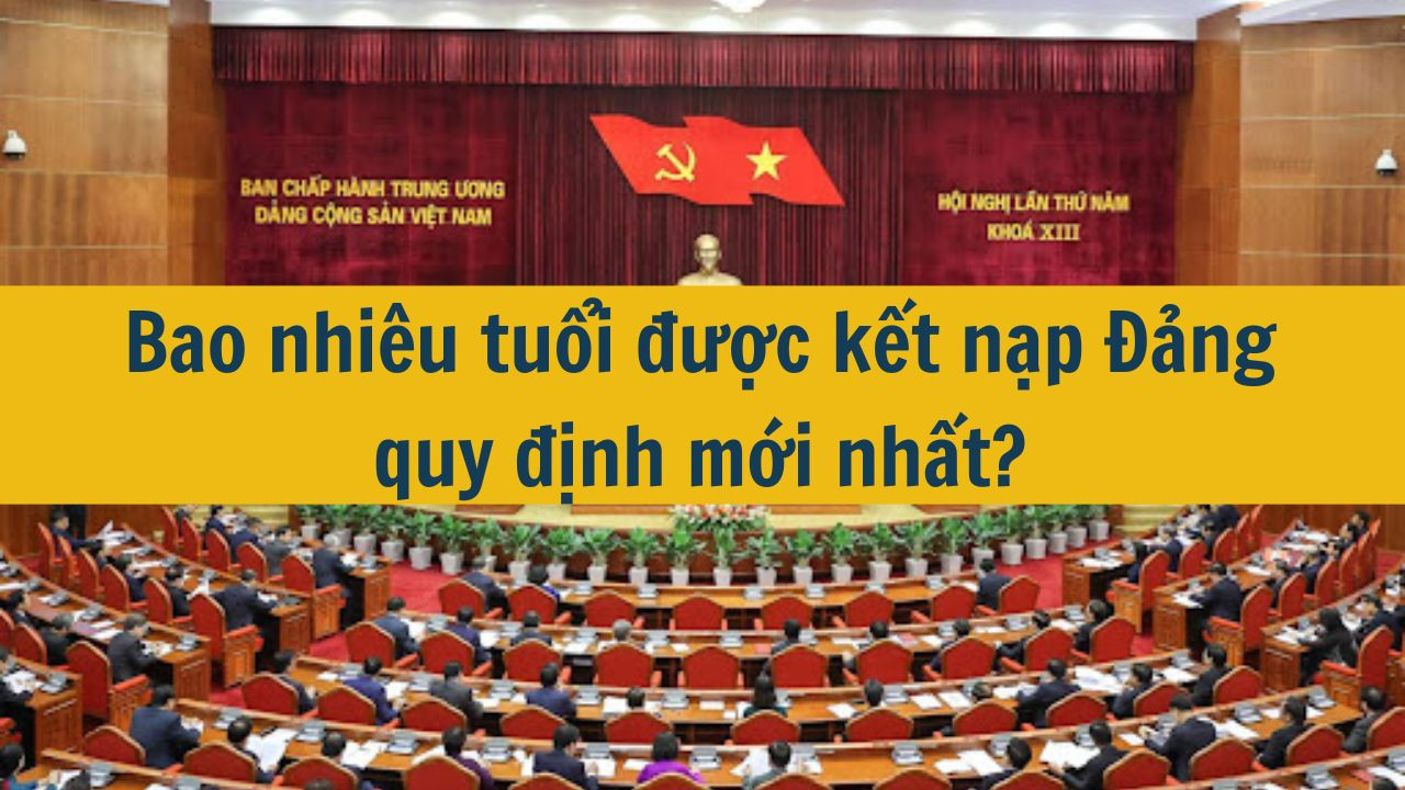 Bao nhi&ecirc;u tuổi được kết nạp Đảng quy định mới nhất 2025? (ảnh 1)