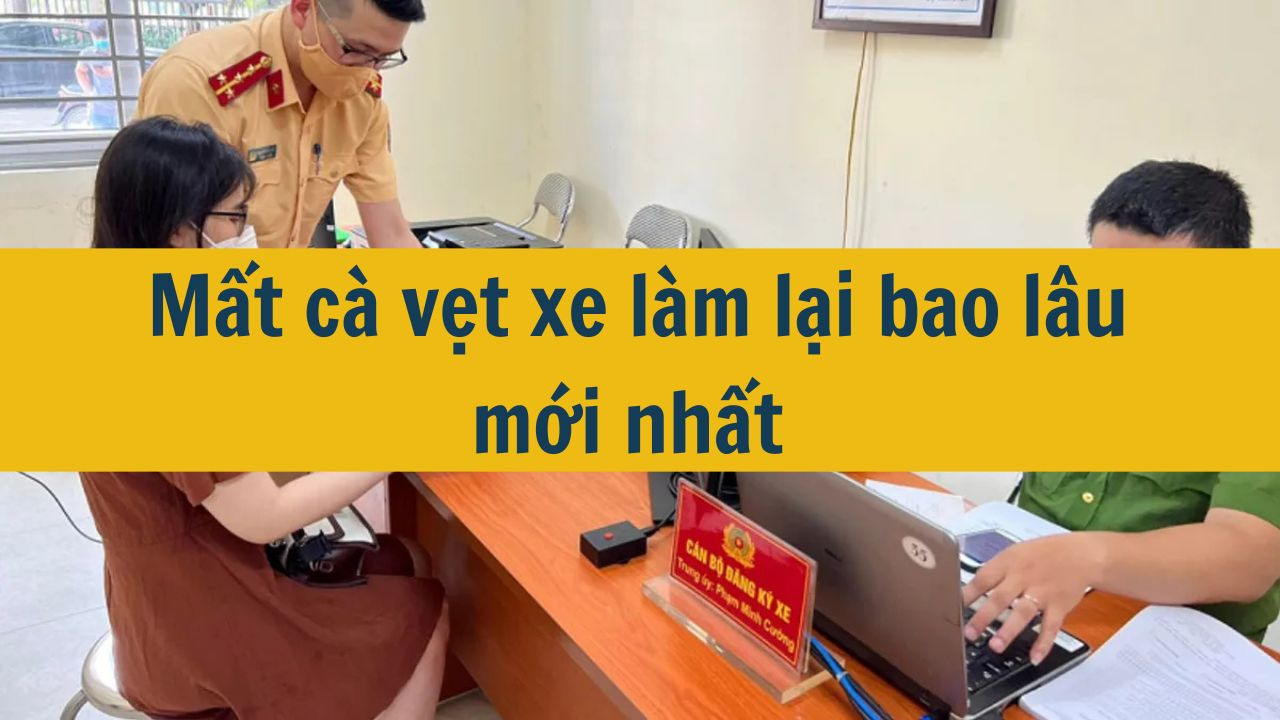 Mất c&agrave; vẹt xe l&agrave;m lại bao l&acirc;u mới nhất 2025? (ảnh 1)