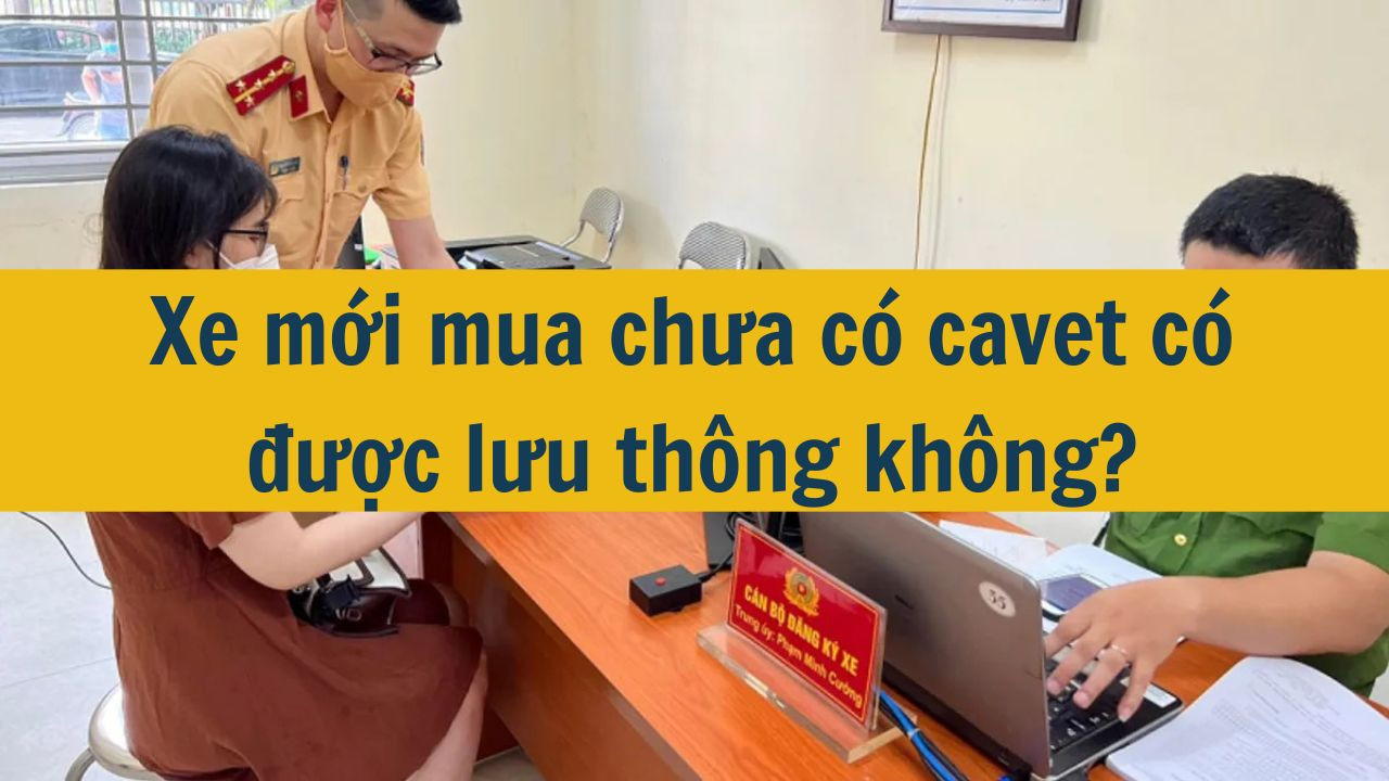 Xe mới mua chưa c&oacute; cavet c&oacute; được lưu th&ocirc;ng kh&ocirc;ng? (ảnh 1)