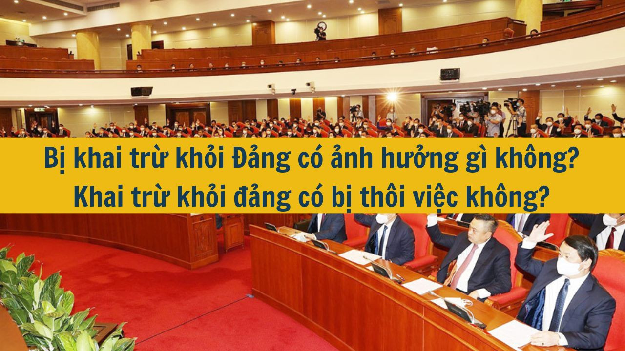 Bị khai trừ khỏi Đảng c&oacute; ảnh hưởng g&igrave; kh&ocirc;ng? Khai trừ khỏi đảng c&oacute; bị th&ocirc;i việc kh&ocirc;ng? (ảnh 1)
