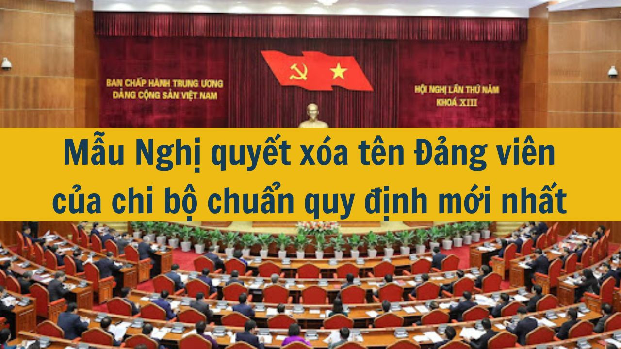 Mẫu Nghị quyết x&oacute;a t&ecirc;n Đảng vi&ecirc;n của chi bộ chuẩn quy định mới nhất 2025 (ảnh 1)