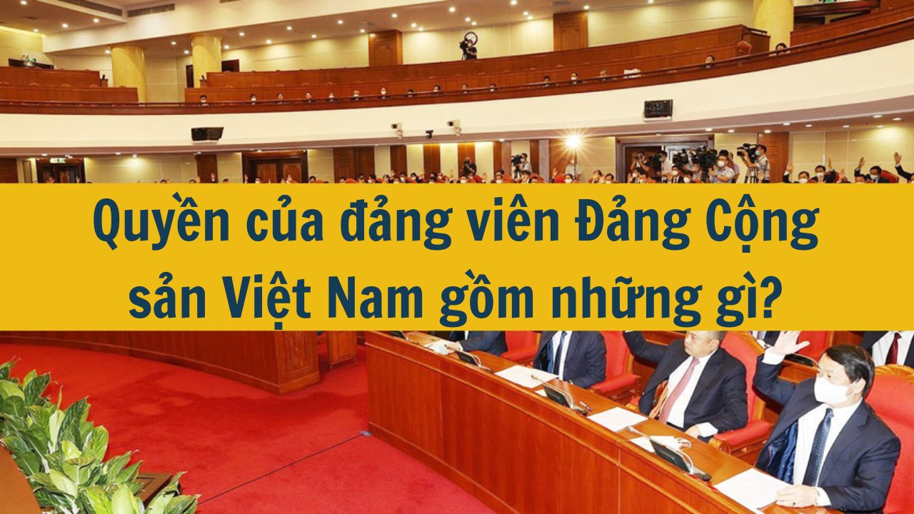 Quyền của đảng vi&ecirc;n Đảng Cộng sản Việt Nam gồm những g&igrave;? (ảnh 1)