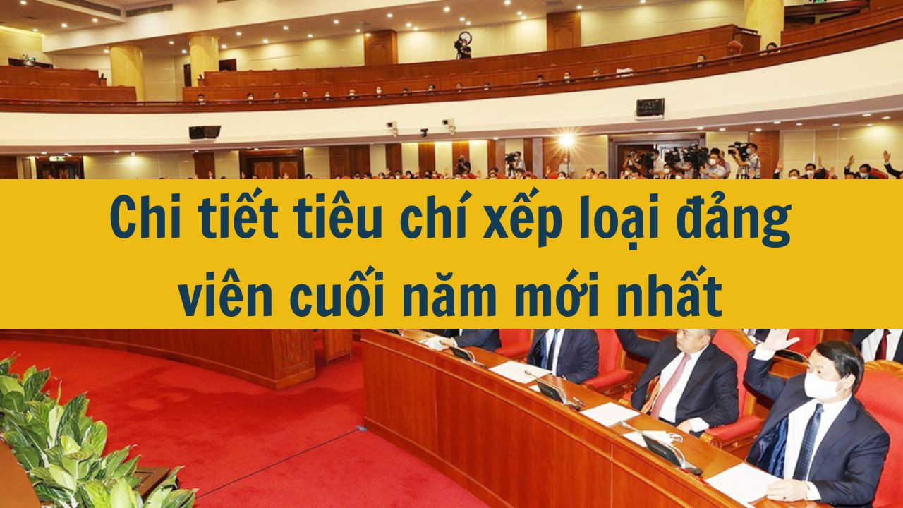 Chi tiết ti&ecirc;u ch&iacute; xếp loại đảng vi&ecirc;n cuối năm mới nhất 2025 (ảnh 1)