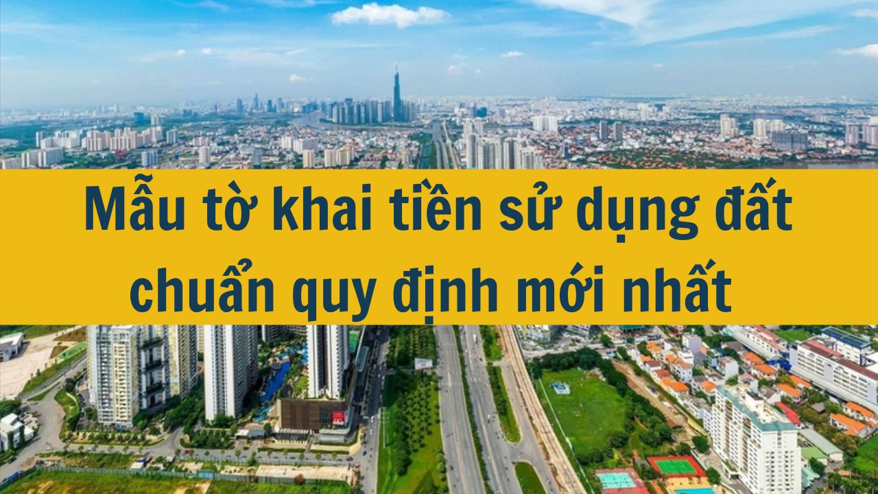 Mẫu tờ khai tiền sử dụng đất chuẩn quy định mới nhất 2025 (ảnh 2)