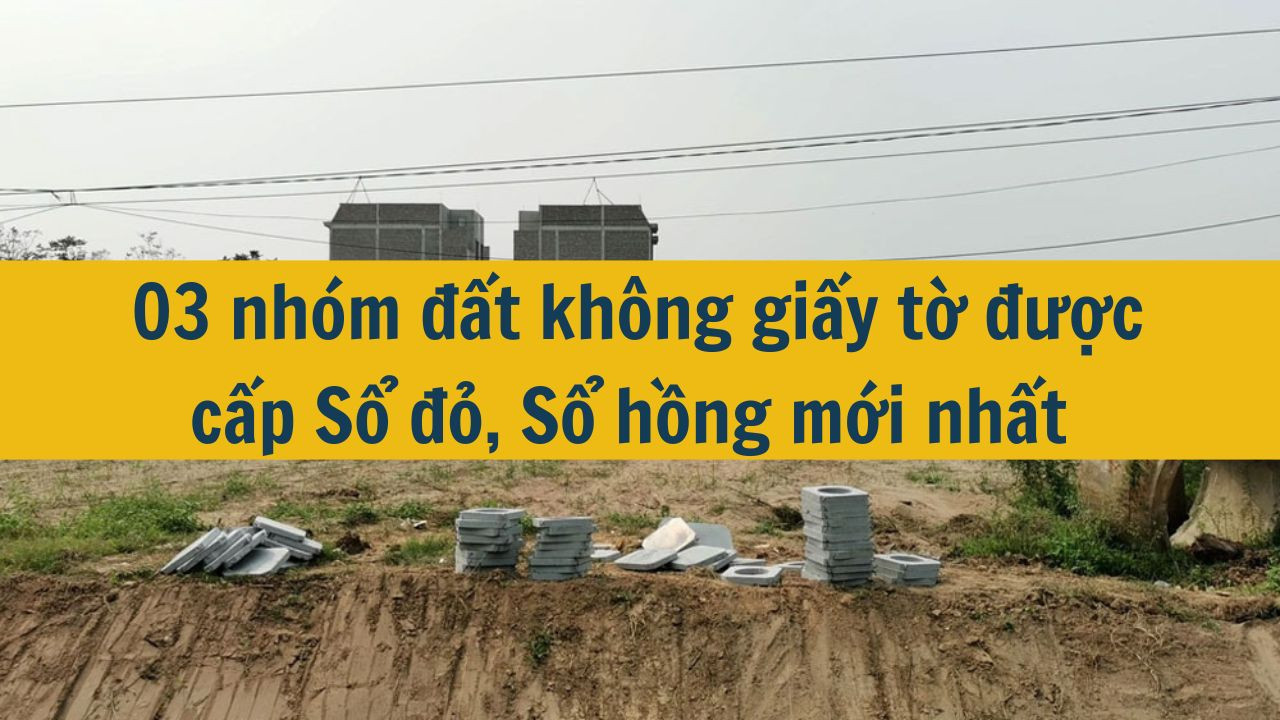 03 nh&oacute;m đất kh&ocirc;ng giấy tờ được cấp Sổ đỏ, Sổ hồng mới nhất 2025 (ảnh 1)