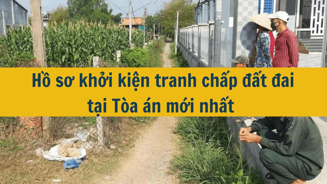 Hồ sơ khởi kiện tranh chấp đất đai tại T&ograve;a &aacute;n mới nhất 2025 (ảnh 1)