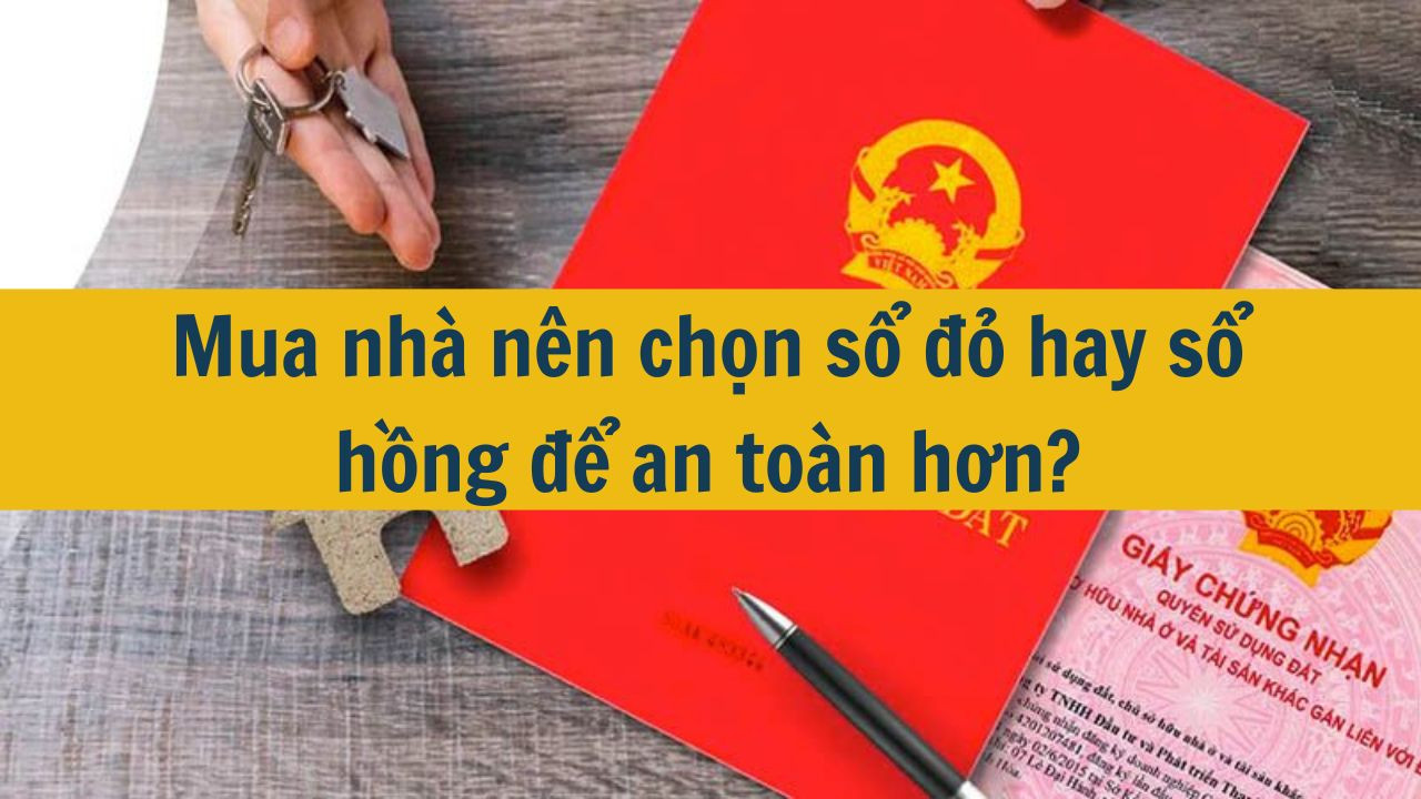 Mua nh&agrave; n&ecirc;n chọn sổ đỏ hay sổ hồng để an to&agrave;n hơn? (ảnh 1)