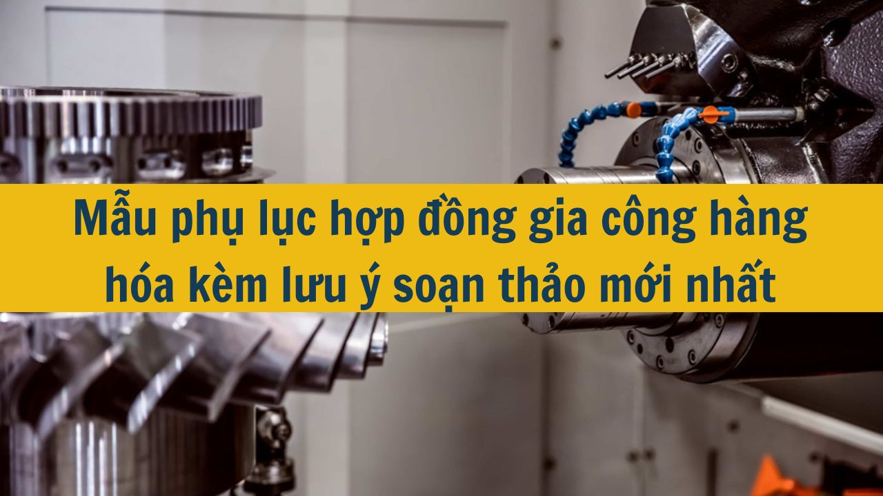 Mẫu phụ lục hợp đồng gia c&ocirc;ng h&agrave;ng h&oacute;a k&egrave;m lưu &yacute; soạn thảo mới nhất 2025 (ảnh 1)