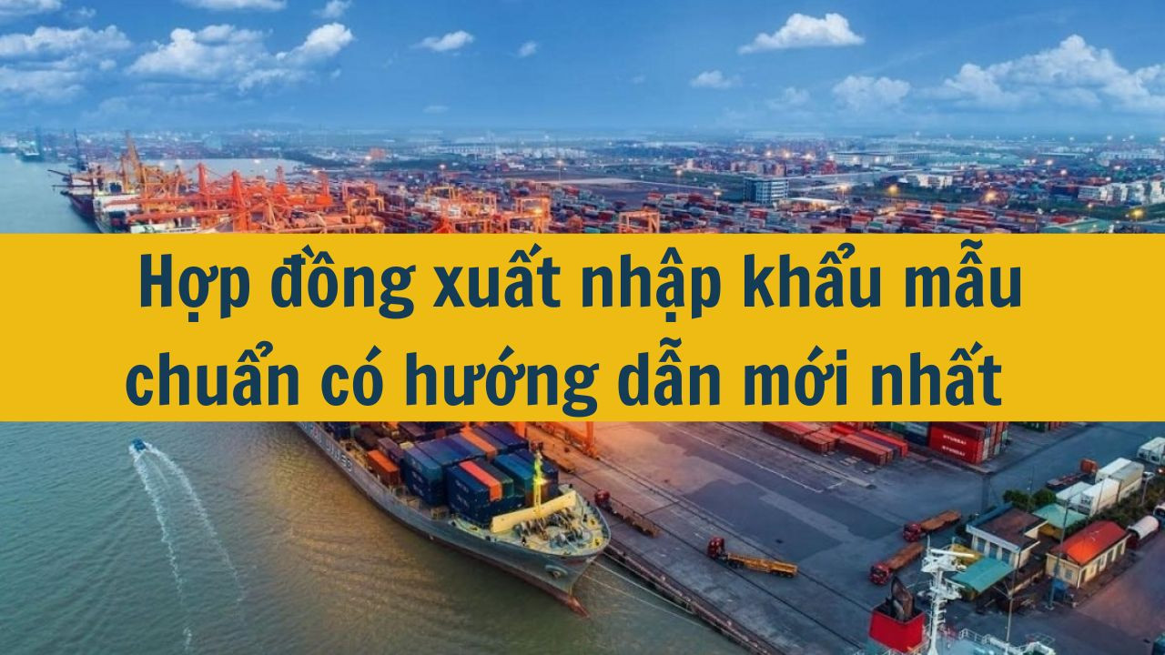 Hợp đồng xuất nhập khẩu mẫu chuẩn c&oacute; hướng dẫn mới nhất 2025 (ảnh 1)