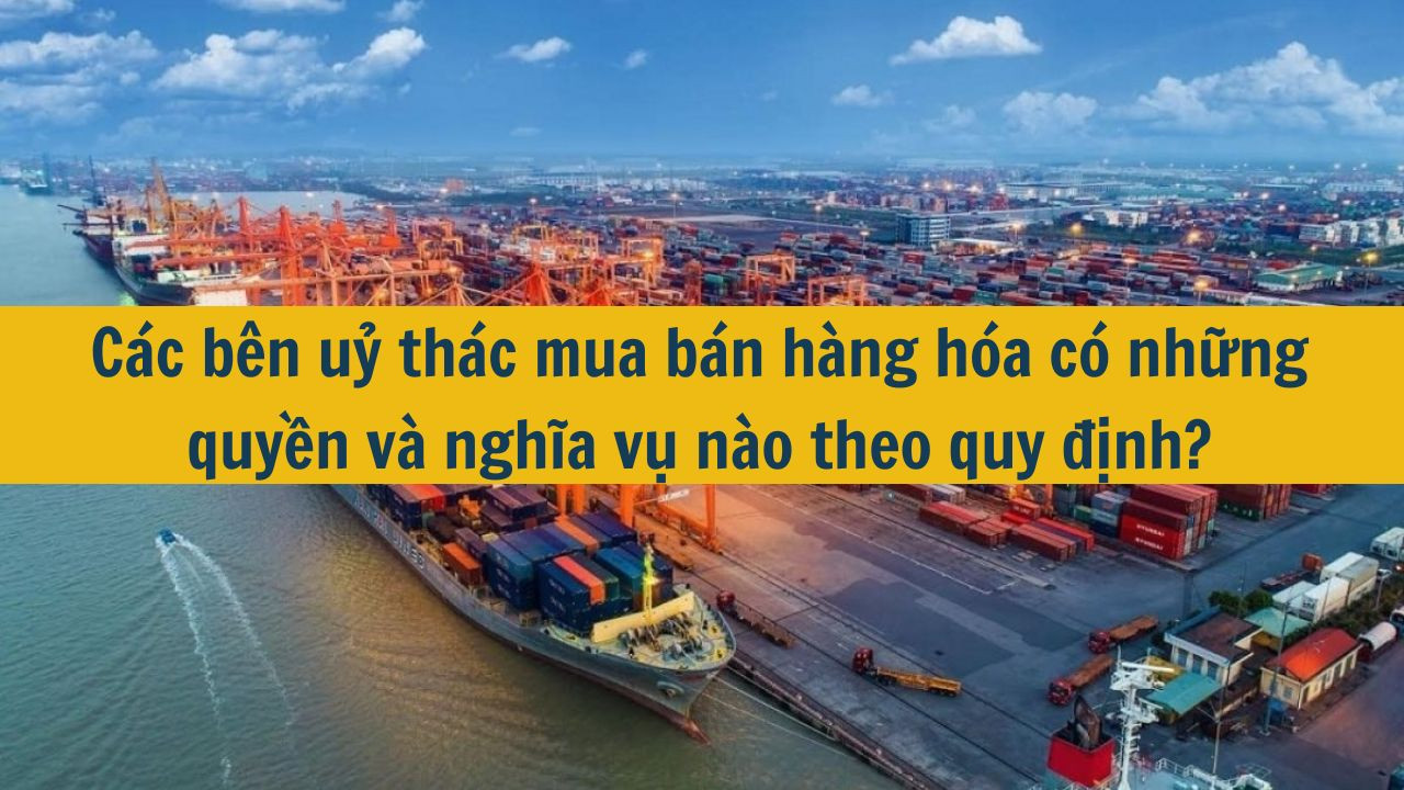 C&aacute;c b&ecirc;n uỷ th&aacute;c mua b&aacute;n h&agrave;ng h&oacute;a c&oacute; những quyền v&agrave; nghĩa vụ n&agrave;o theo quy định? (ảnh 1)