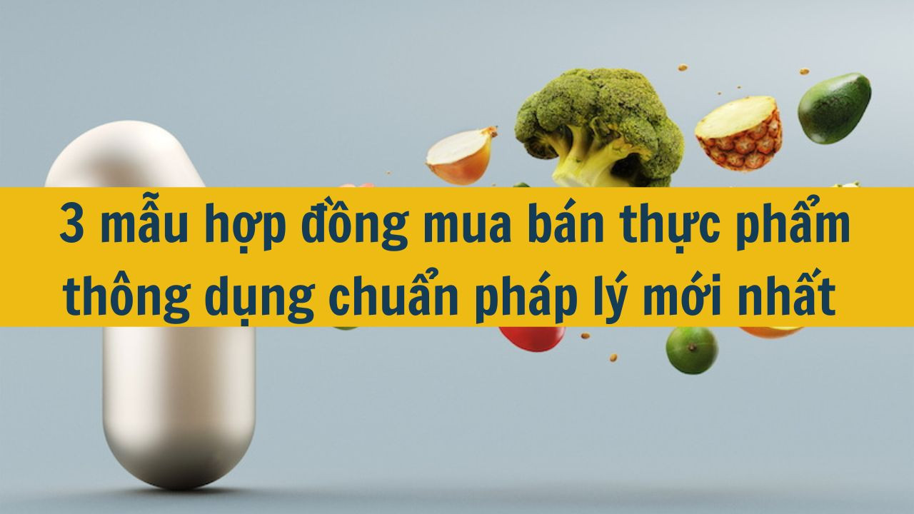 3 mẫu hợp đồng mua b&aacute;n thực phẩm th&ocirc;ng dụng chuẩn ph&aacute;p l&yacute; mới nhất 2025 (ảnh 1)