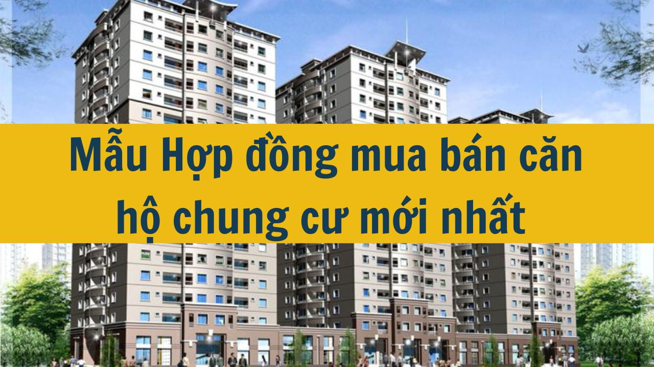 Mẫu Hợp đồng mua b&aacute;n căn hộ chung cư mới nhất 2025 (ảnh 1)
