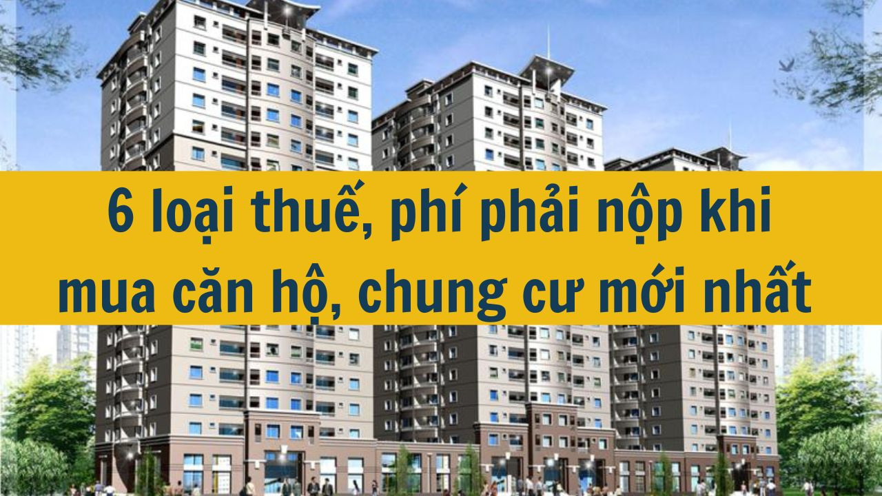 6 loại thuế, ph&iacute; phải nộp khi mua căn hộ, chung cư mới nhất 2025 (ảnh 1)