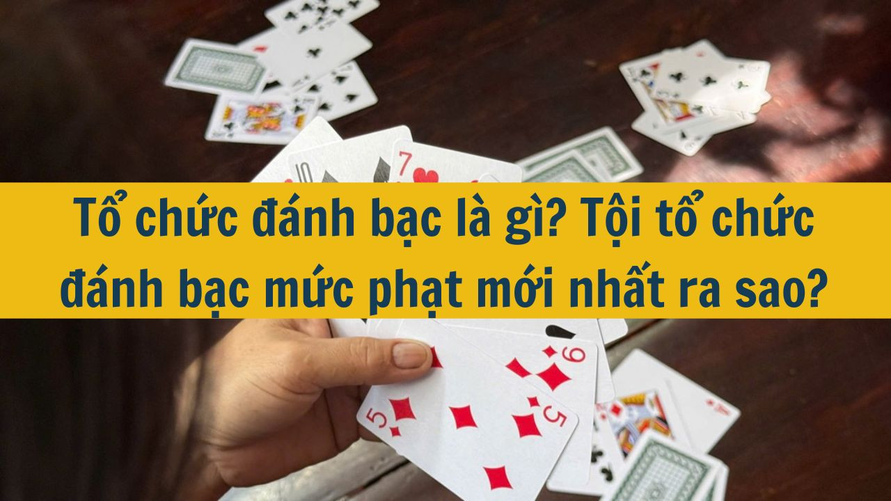 Tổ chức đ&aacute;nh bạc l&agrave; g&igrave;? Tội tổ chức đ&aacute;nh bạc mức phạt mới nhất 2025 ra sao? (ảnh 1)