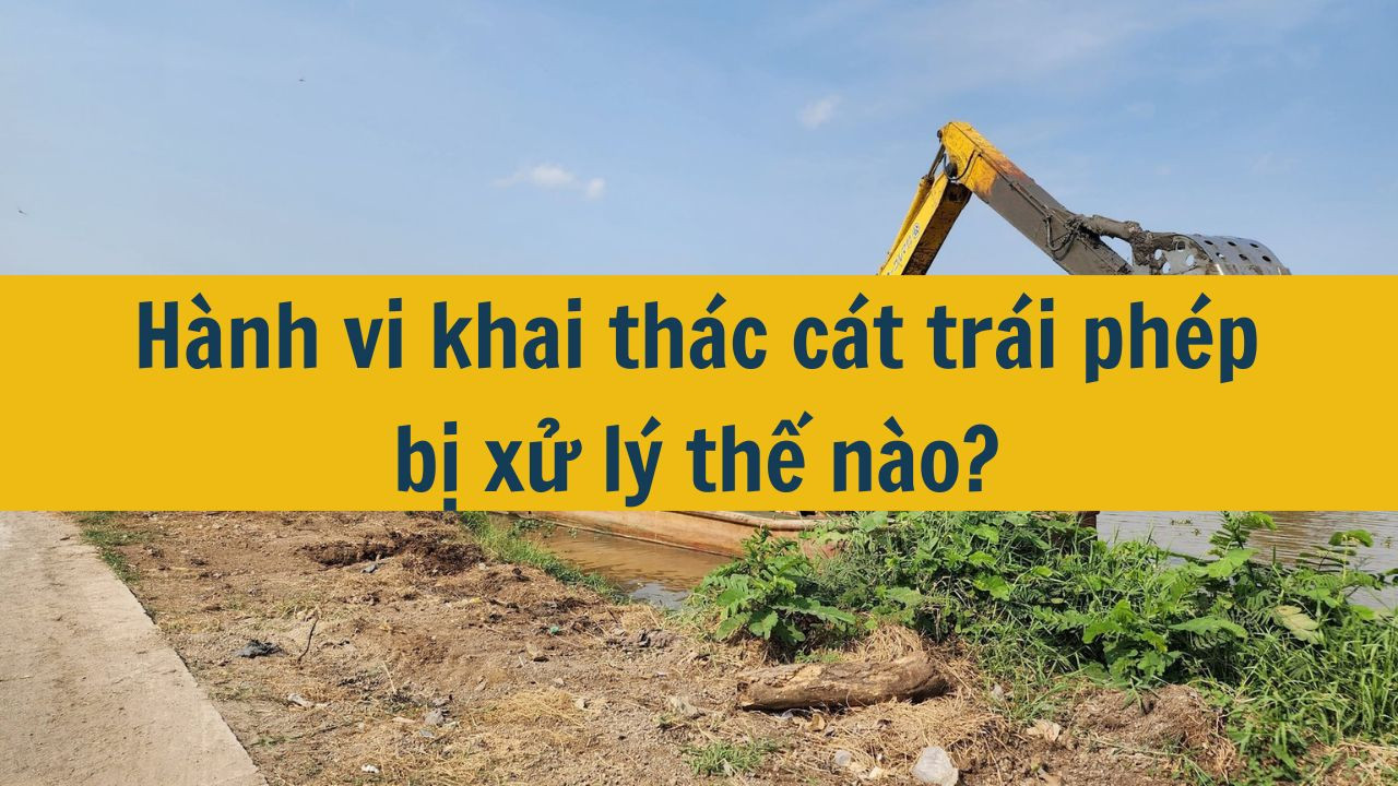 H&agrave;nh vi khai th&aacute;c c&aacute;t tr&aacute;i ph&eacute;p bị xử l&yacute; thế n&agrave;o? (ảnh 1)