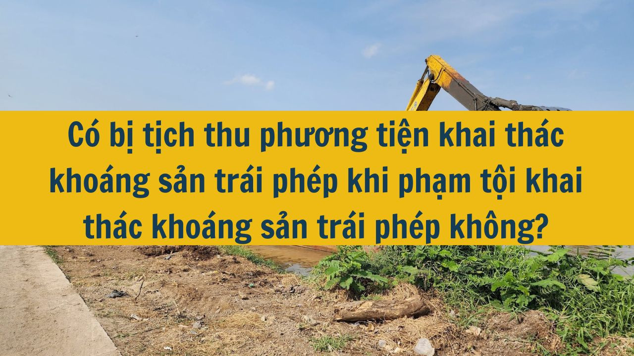 C&oacute; bị tịch thu phương tiện khai th&aacute;c kho&aacute;ng sản tr&aacute;i ph&eacute;p khi phạm tội khai th&aacute;c kho&aacute;ng sản tr&aacute;i ph&eacute;p kh&ocirc;ng? (ảnh 1)