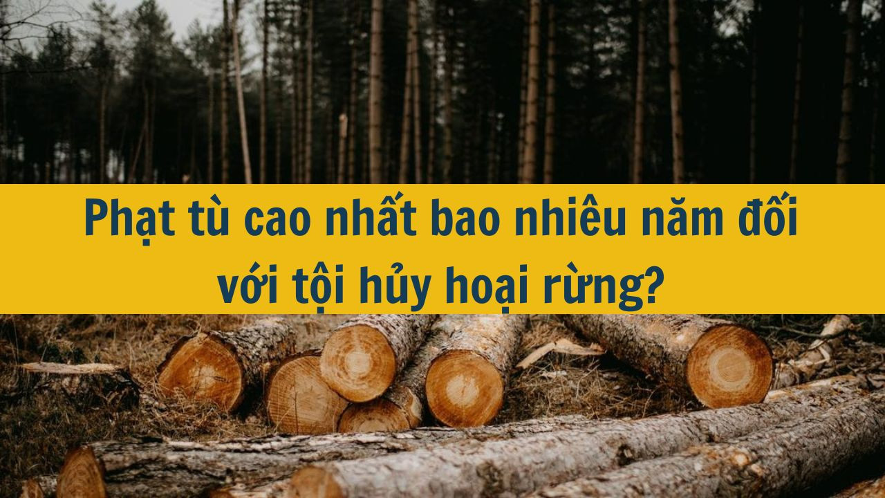 Phạt t&ugrave; cao nhất bao nhi&ecirc;u năm đối với tội hủy hoại rừng? (ảnh 1)