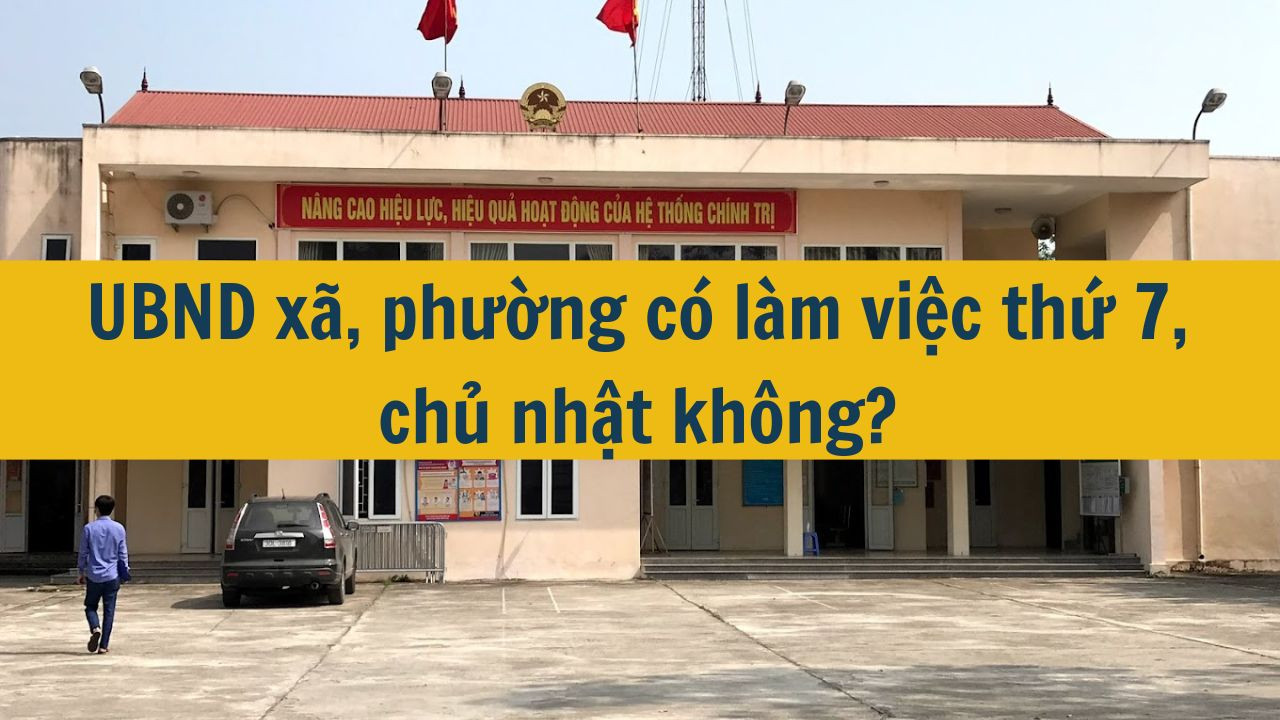 UBND x&atilde;, phường c&oacute; l&agrave;m việc thứ 7, chủ nhật kh&ocirc;ng? (ảnh 1)