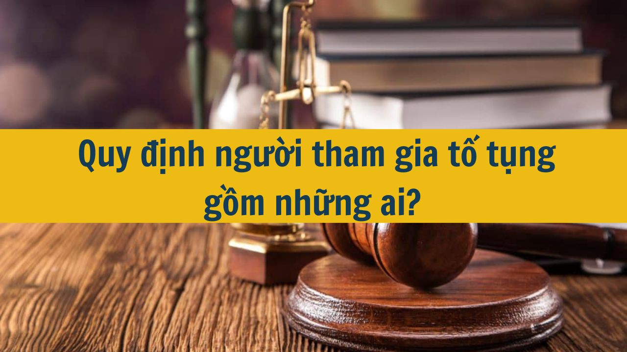 Quy định người tham gia tố tụng gồm những ai? (ảnh 2)