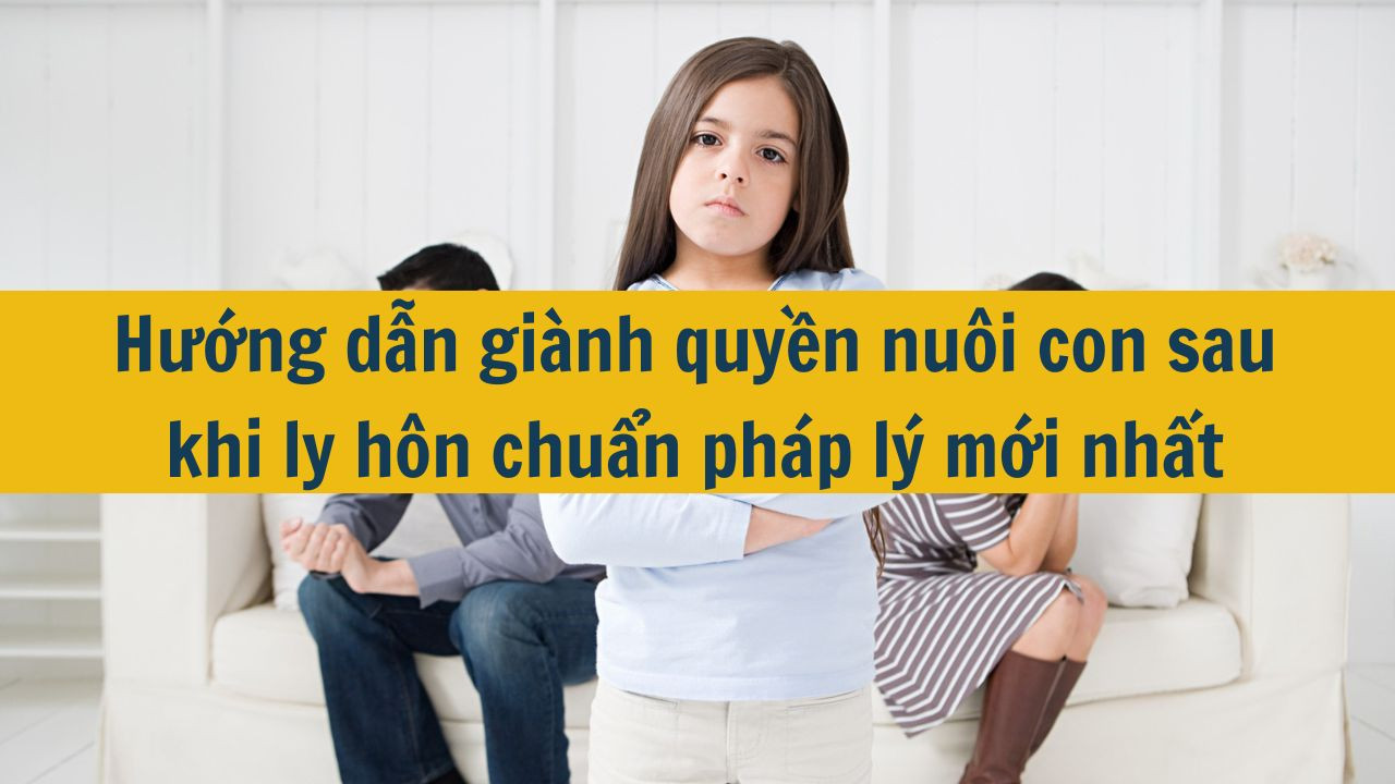 Hướng dẫn gi&agrave;nh quyền nu&ocirc;i con sau khi ly h&ocirc;n chuẩn ph&aacute;p l&yacute; mới nhất 2025 (ảnh 1)