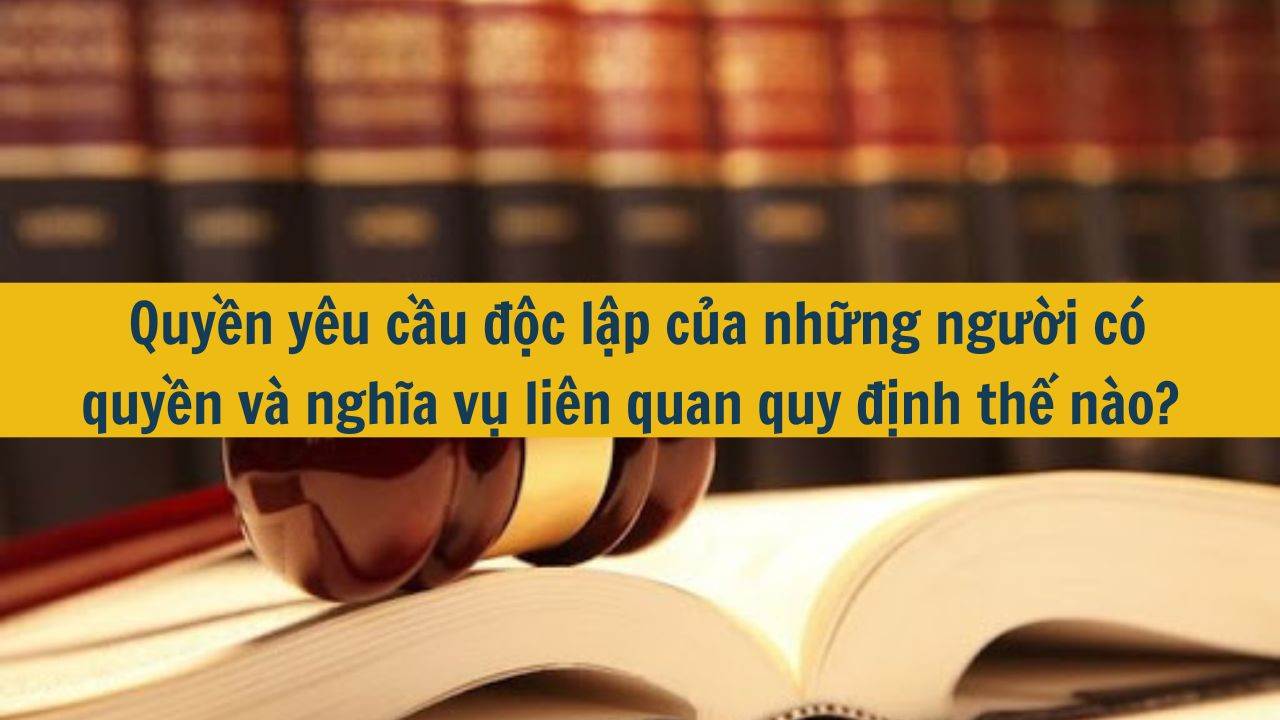 Quyền y&ecirc;u cầu độc lập của những người c&oacute; quyền v&agrave; nghĩa vụ li&ecirc;n quan quy định thế n&agrave;o?   (ảnh 1)