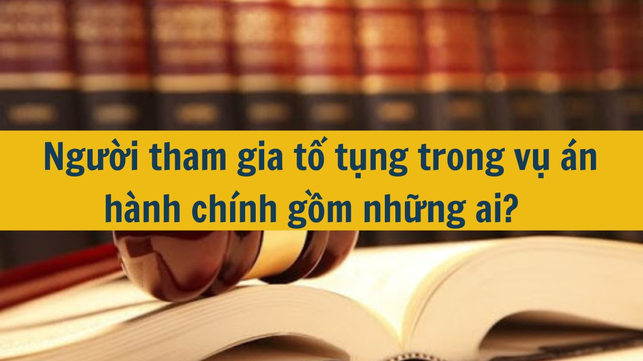 Người tham gia tố tụng trong vụ &aacute;n h&agrave;nh ch&iacute;nh gồm những ai?  (ảnh 1)
