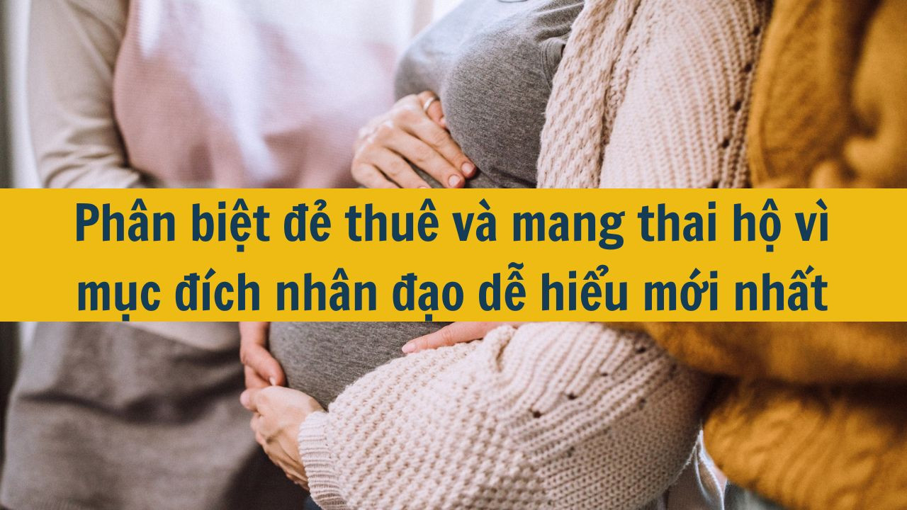 Ph&acirc;n biệt đẻ thu&ecirc; v&agrave; mang thai hộ v&igrave; mục đ&iacute;ch nh&acirc;n đạo dễ hiểu mới nhất 2025 (ảnh 1)
