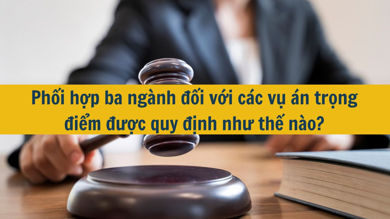 Phối hợp ba ng&agrave;nh đối với c&aacute;c vụ &aacute;n trọng điểm được quy định như thế n&agrave;o? (ảnh 1)