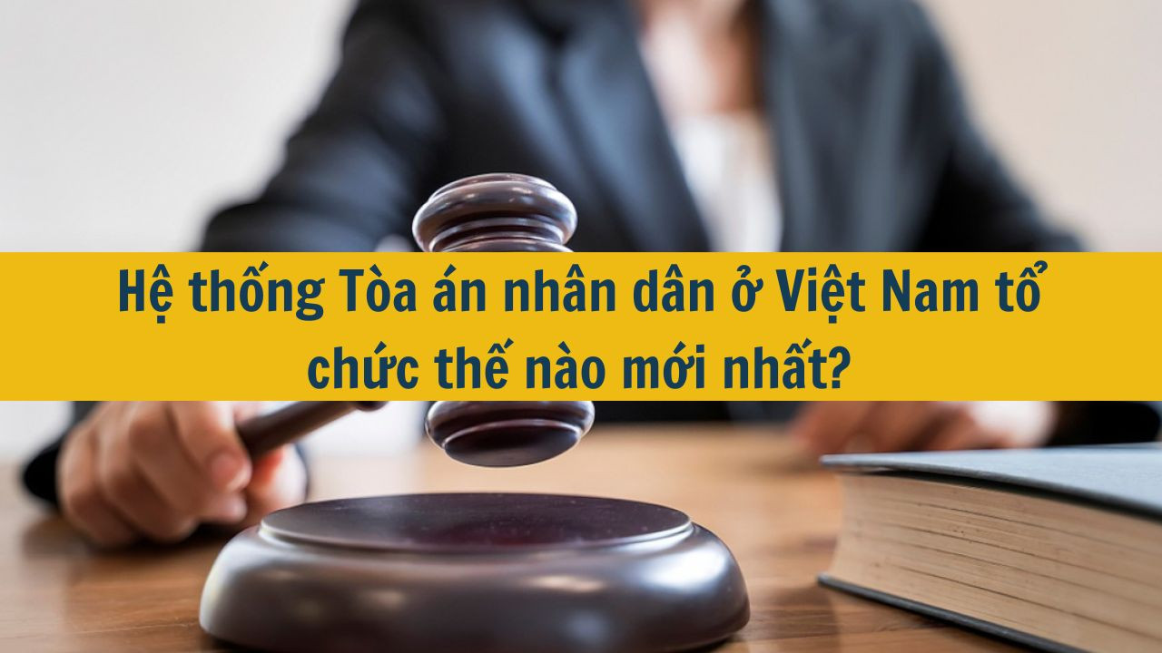 Hệ thống T&ograve;a &aacute;n nh&acirc;n d&acirc;n ở Việt Nam tổ chức thế n&agrave;o mới nhất 2025? (ảnh 1)
