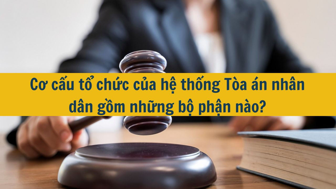 Cơ cấu tổ chức của hệ thống T&ograve;a &aacute;n nh&acirc;n d&acirc;n gồm những bộ phận n&agrave;o? (ảnh 1)