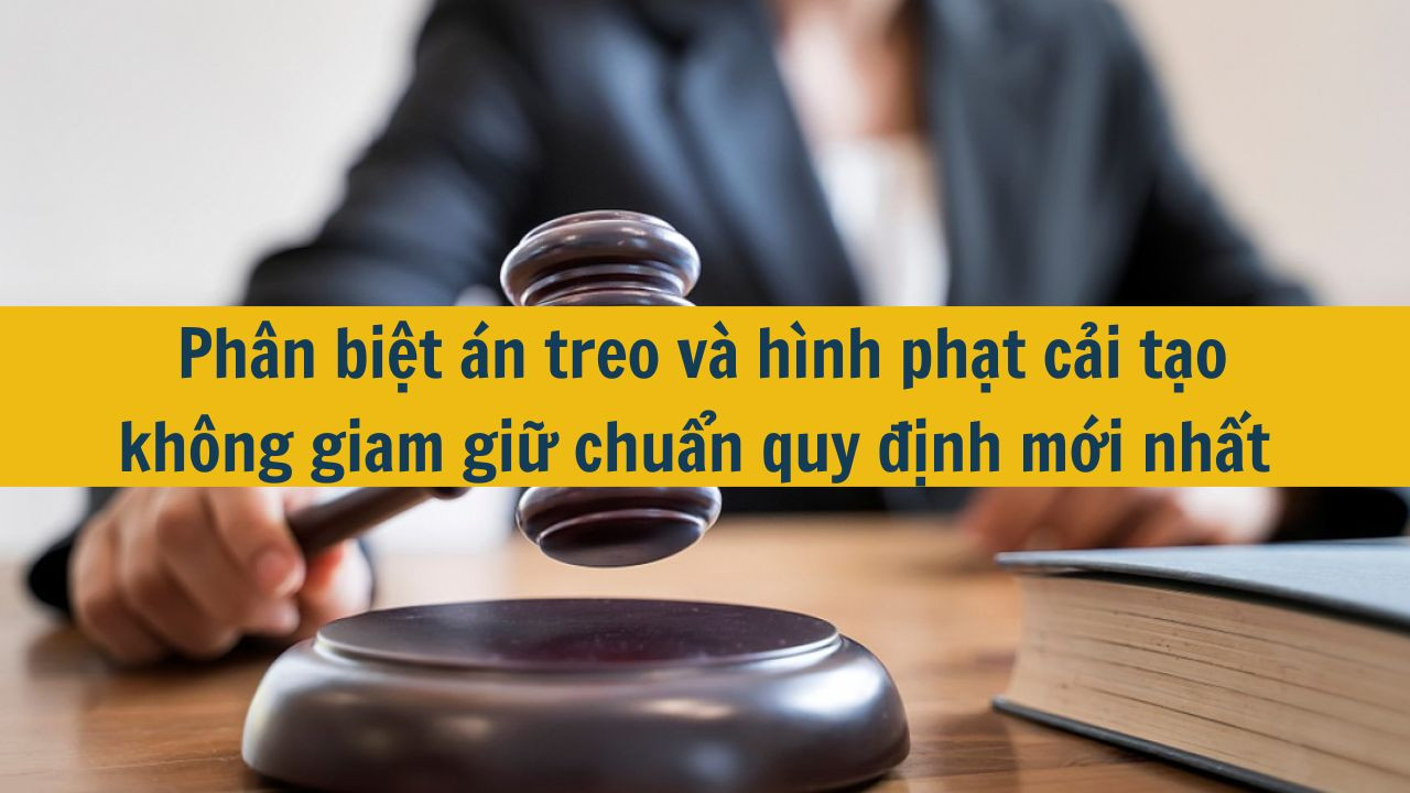 Ph&acirc;n biệt &aacute;n treo v&agrave; h&igrave;nh phạt cải tạo kh&ocirc;ng giam giữ chuẩn quy định mới nhất 2025 (ảnh 1)