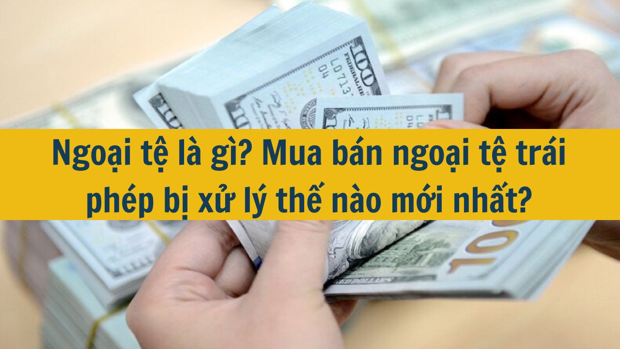 Ngoại tệ l&agrave; g&igrave;? Mua b&aacute;n ngoại tệ tr&aacute;i ph&eacute;p bị xử l&yacute; thế n&agrave;o mới nhất 2025? (ảnh 1)