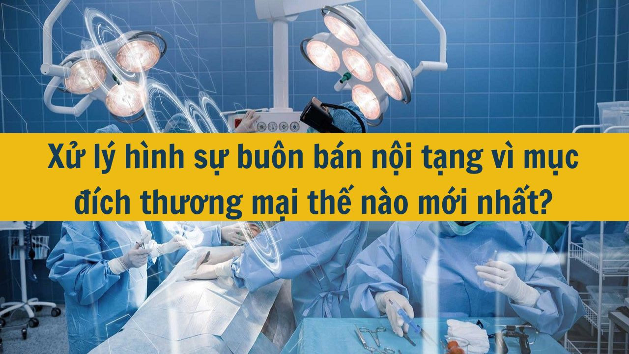 Xử l&yacute; h&igrave;nh sự bu&ocirc;n b&aacute;n nội tạng v&igrave; mục đ&iacute;ch thương mại thế n&agrave;o mới nhất 2025? (ảnh 1)