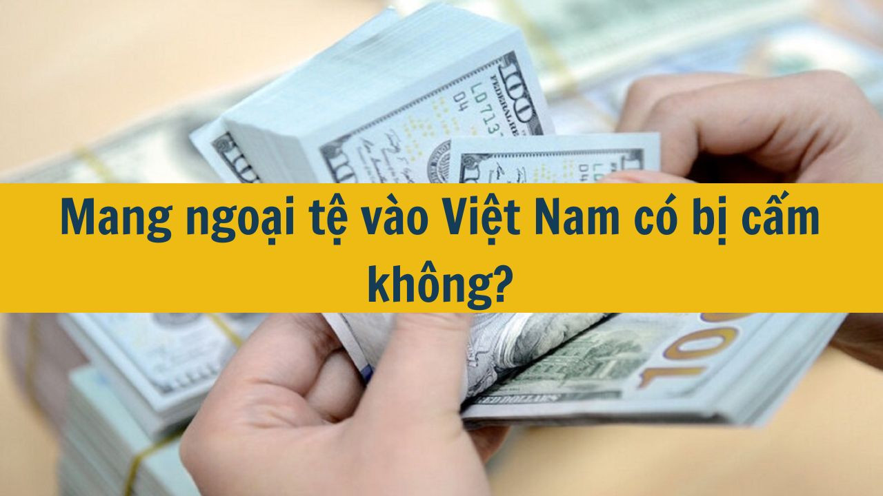 Mang ngoại tệ v&agrave;o Việt Nam c&oacute; bị cấm kh&ocirc;ng? (ảnh 1)
