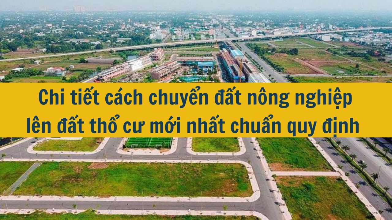 Chi tiết c&aacute;ch chuyển đất n&ocirc;ng nghiệp l&ecirc;n đất thổ cư mới nhất 2025 chuẩn quy định  (ảnh 1)