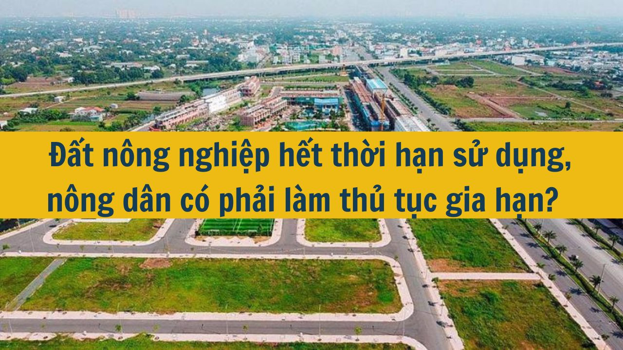 Đất n&ocirc;ng nghiệp hết thời hạn sử dụng, n&ocirc;ng d&acirc;n c&oacute; phải l&agrave;m thủ tục gia hạn?  (ảnh 1)