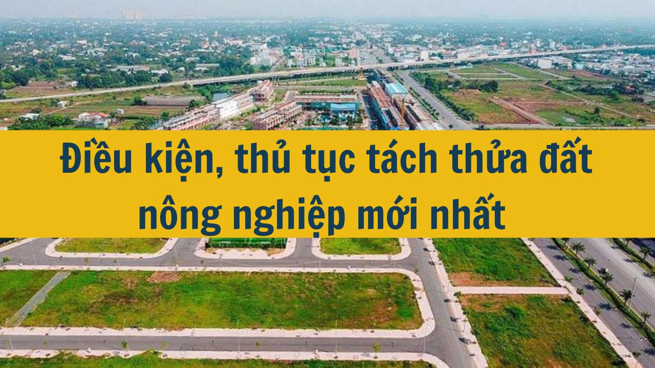 Điều kiện, thủ tục t&aacute;ch thửa đất n&ocirc;ng nghiệp mới nhất 2025  (ảnh 1)