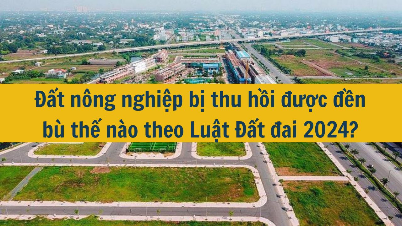 Đất n&ocirc;ng nghiệp bị thu hồi được đền b&ugrave; thế n&agrave;o theo Luật Đất đai 2024? (ảnh 1)