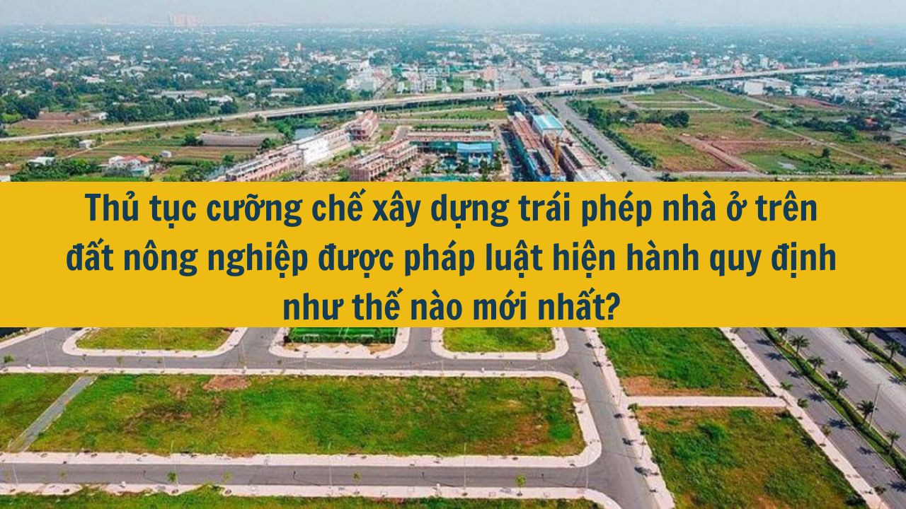 Thủ tục cưỡng chế x&acirc;y dựng tr&aacute;i ph&eacute;p nh&agrave; ở tr&ecirc;n đất n&ocirc;ng nghiệp được ph&aacute;p luật hiện h&agrave;nh quy định như thế n&agrave;o mới nhất 2025?  (ảnh 1)
