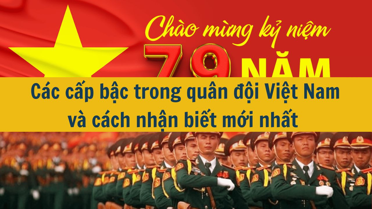 C&aacute;c cấp bậc trong qu&acirc;n đội Việt Nam v&agrave; c&aacute;ch nhận biết mới nhất 2025 (ảnh 1)