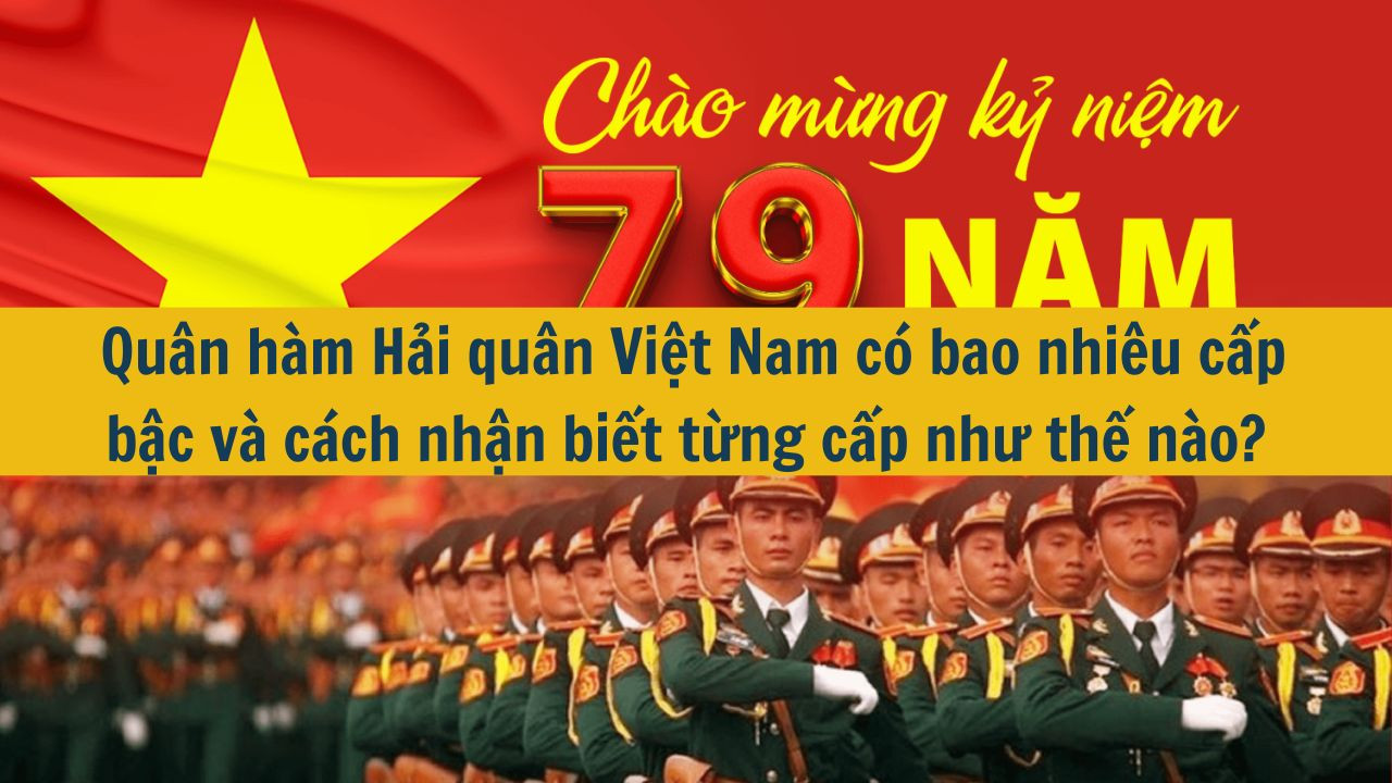 Qu&acirc;n h&agrave;m Hải qu&acirc;n Việt Nam c&oacute; bao nhi&ecirc;u cấp bậc v&agrave; c&aacute;ch nhận biết từng cấp như thế n&agrave;o?  (ảnh 1)