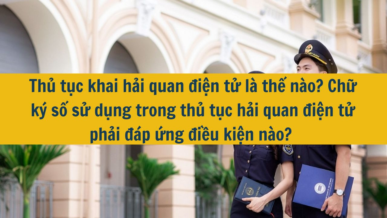 Thủ tục khai hải quan điện tử l&agrave; thế n&agrave;o? Chữ k&yacute; số sử dụng trong thủ tục hải quan điện tử phải đ&aacute;p ứng điều kiện n&agrave;o?  (ảnh 1)