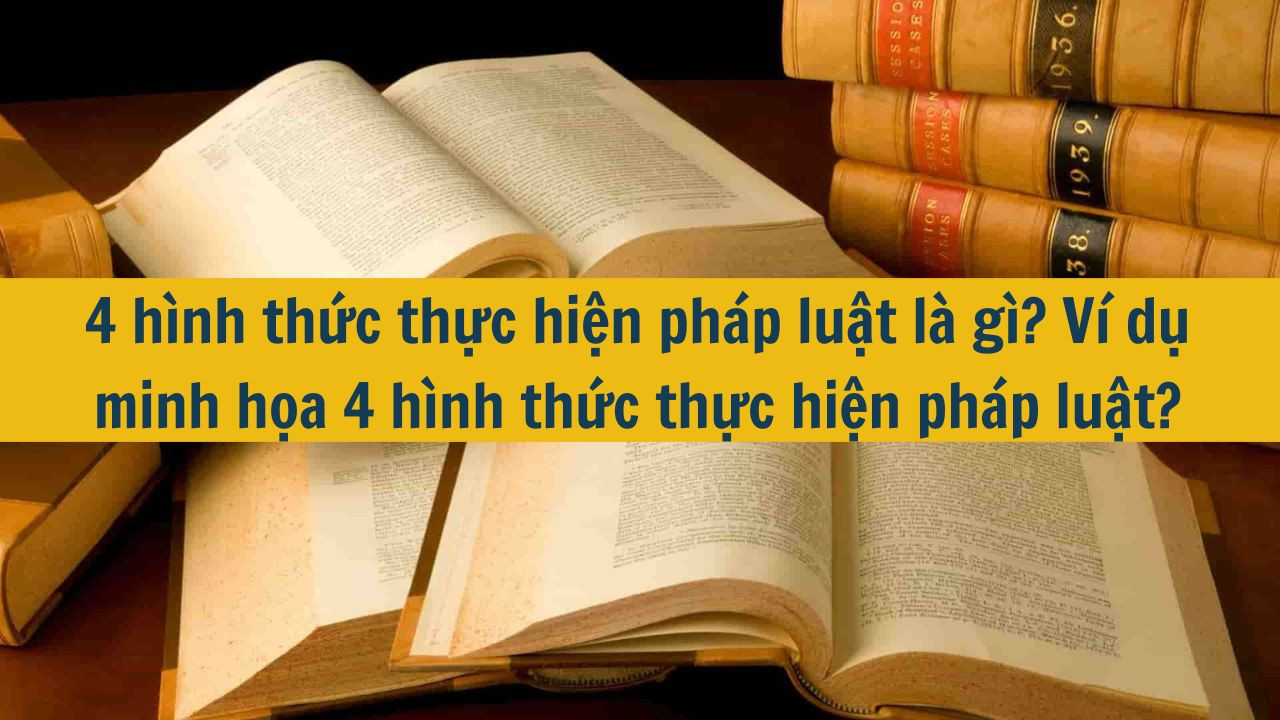4 h&igrave;nh thức thực hiện ph&aacute;p luật l&agrave; g&igrave;? V&iacute; dụ minh họa 4 h&igrave;nh thức thực hiện ph&aacute;p luật? (ảnh 1)