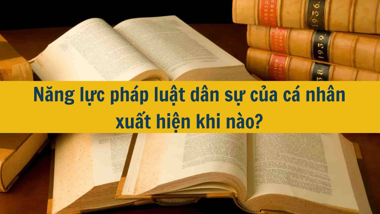 Năng lực ph&aacute;p luật d&acirc;n sự của c&aacute; nh&acirc;n xuất hiện khi n&agrave;o? (ảnh 1)