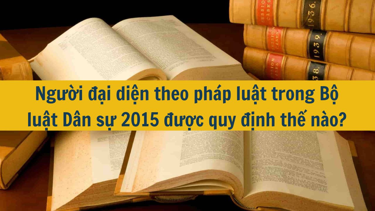 Người đại diện theo ph&aacute;p luật trong Bộ luật D&acirc;n sự 2015 được quy định thế n&agrave;o? (ảnh 1)