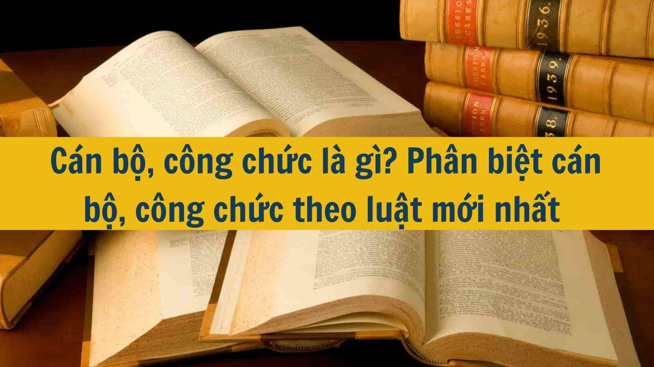 C&aacute;n bộ, c&ocirc;ng chức l&agrave; g&igrave;? Ph&acirc;n biệt c&aacute;n bộ, c&ocirc;ng chức theo luật mới nhất 2025 (ảnh 1)