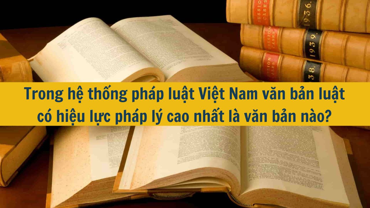 Trong hệ thống ph&aacute;p luật Việt Nam văn bản luật c&oacute; hiệu lực ph&aacute;p l&yacute; cao nhất l&agrave; văn bản n&agrave;o? (ảnh 1)