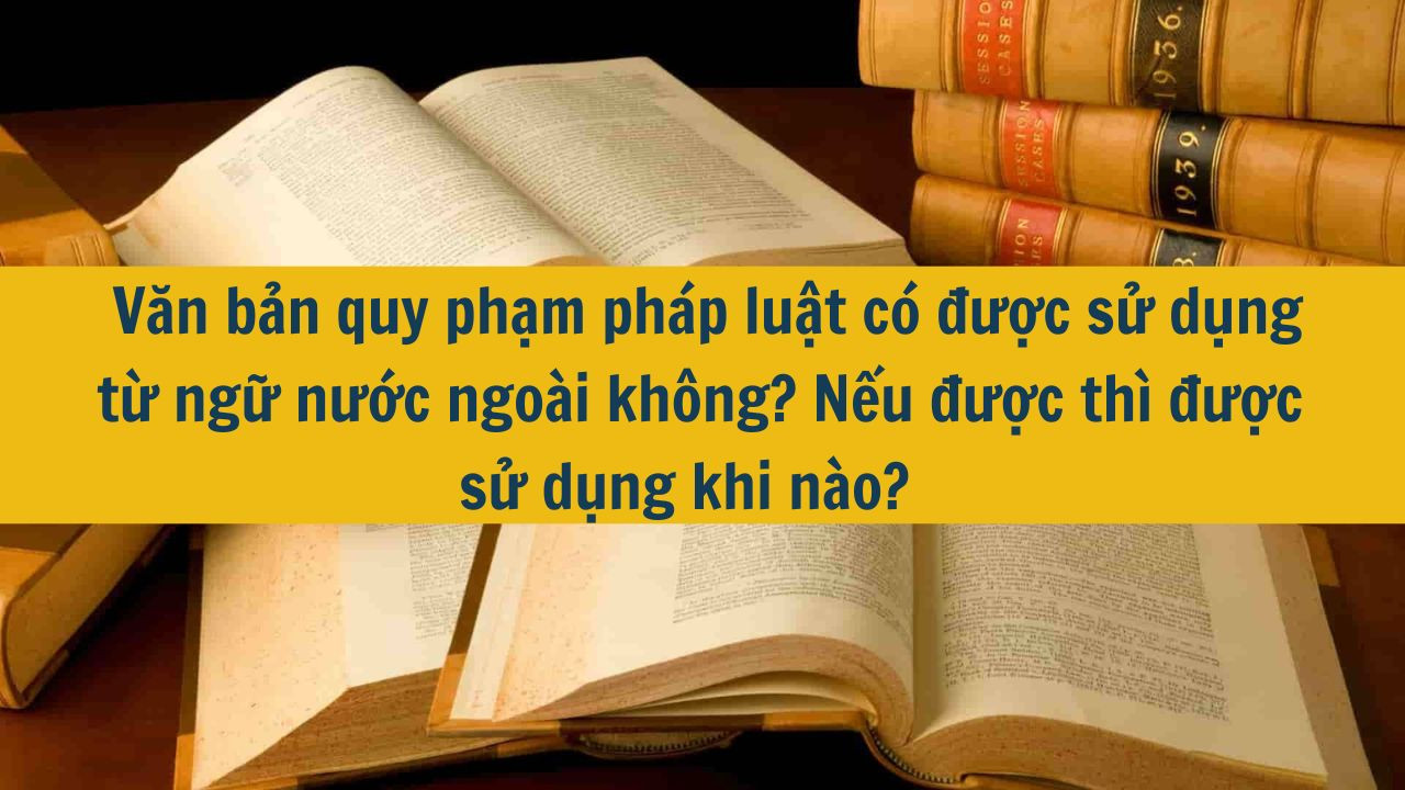  Văn bản quy phạm ph&aacute;p luật c&oacute; được sử dụng từ ngữ nước ngo&agrave;i kh&ocirc;ng? Nếu được th&igrave; được sử dụng khi n&agrave;o?  (ảnh 1)